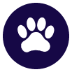 Physiotherapy for Dogs in Yorkshire